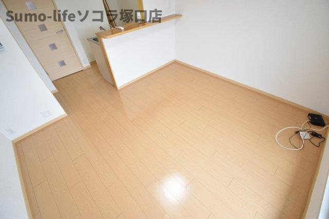 プラシードのその他