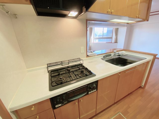 ライオンズシティ大府駅前のキッチン