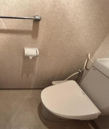 ダイアパレス新居浜 8階のトイレ