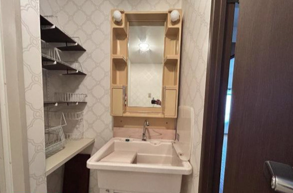 ダイアパレス新居浜 8階の独立洗面台