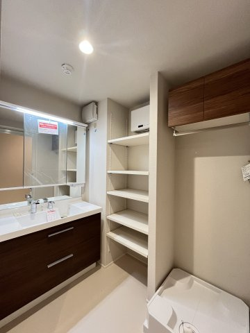 アルビオン　コートの洗面所|3面鏡のシャンプードレッサー♪パントリー収納有り