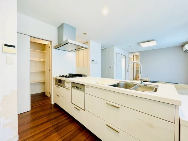 長久手市岩作三ケ峯戸建のキッチン|キッチン②