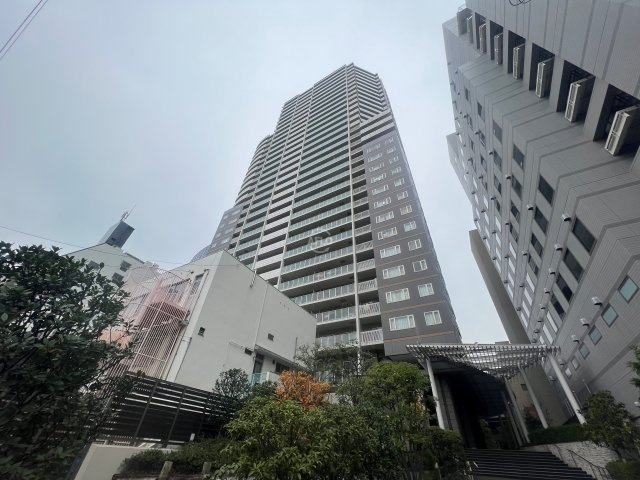 アップルタワー大阪谷町　南大江小学校区の外観|アップルタワー大阪谷町　外観