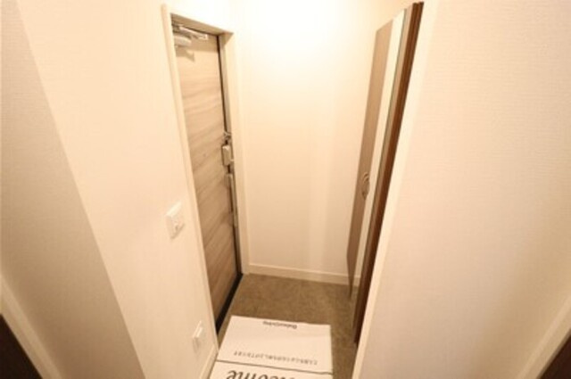 ＩＳＨＩＫＡＷＡ　ＨＩＬＬＳ　Ⅸの玄関|玄関