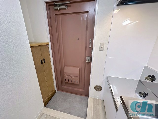 コーポラス篠原 203号室の玄関