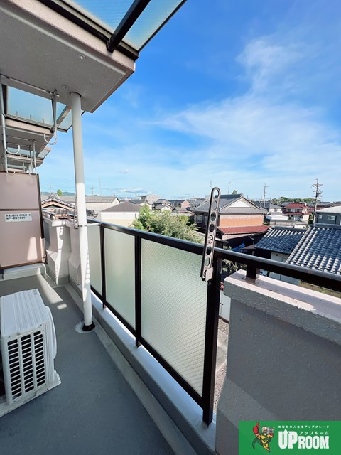 パラシオイトウの展望