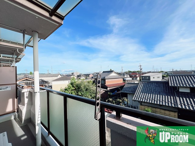 パラシオイトウの展望