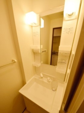 クレイノプレシャス SRKの洗面所