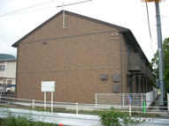 ガーデン・グレイスの画像