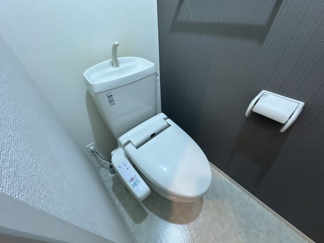ドミールブラシェ北天満のトイレ