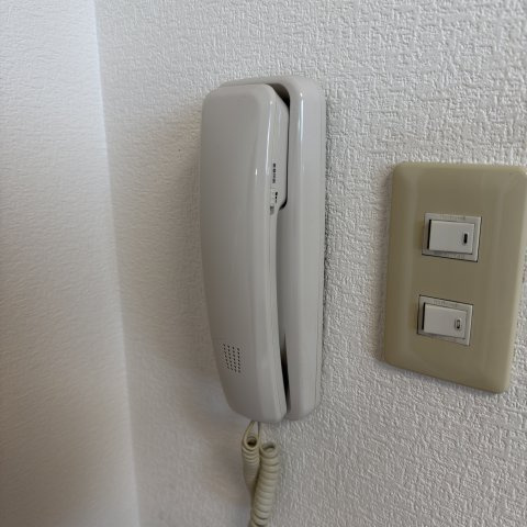 プルメリアのセキュリティ