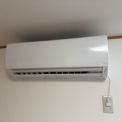 プルメリアの設備