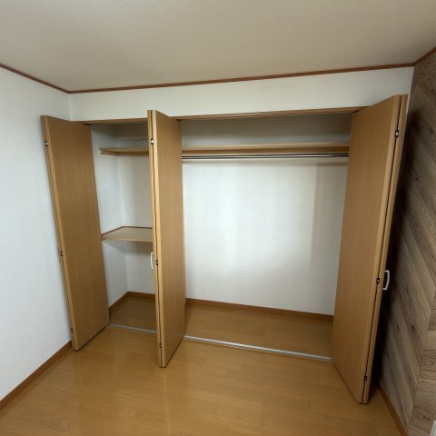 プルメリアの収納