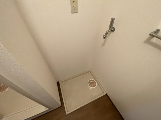 パーム・コートのその他