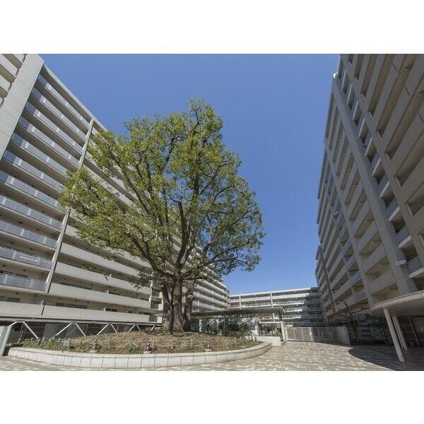 シティコート目黒４号棟の外観