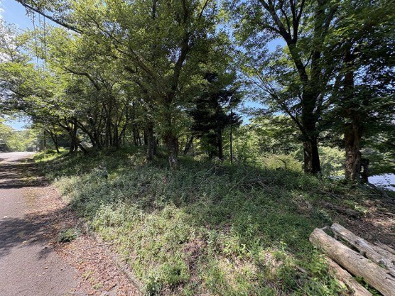 【外観】 | 東急天城高原別荘地　売地