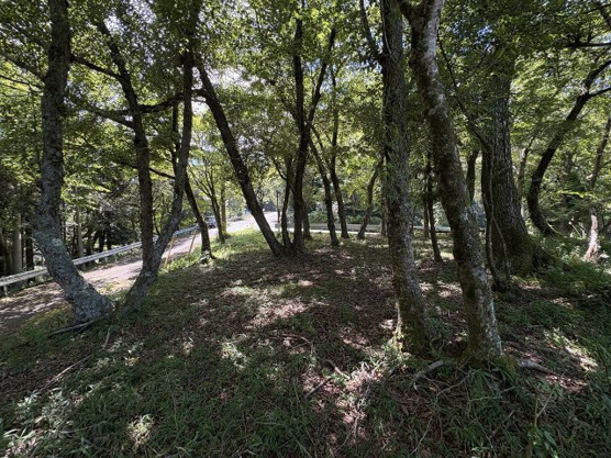 【外観】 | 東急天城高原別荘地　売地