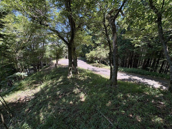 【外観】 | 東急天城高原別荘地　売地