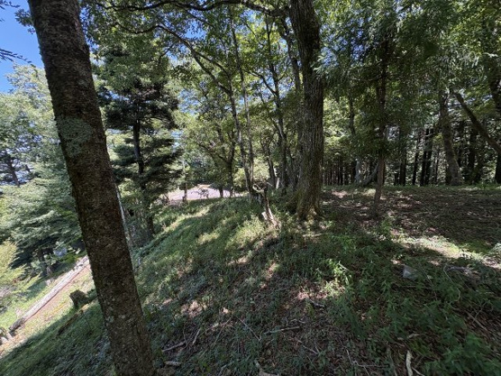 【外観】 | 東急天城高原別荘地　売地