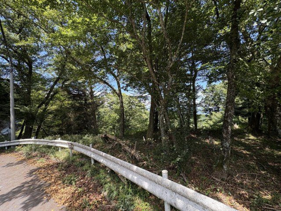 【外観】 | 東急天城高原別荘地　売地