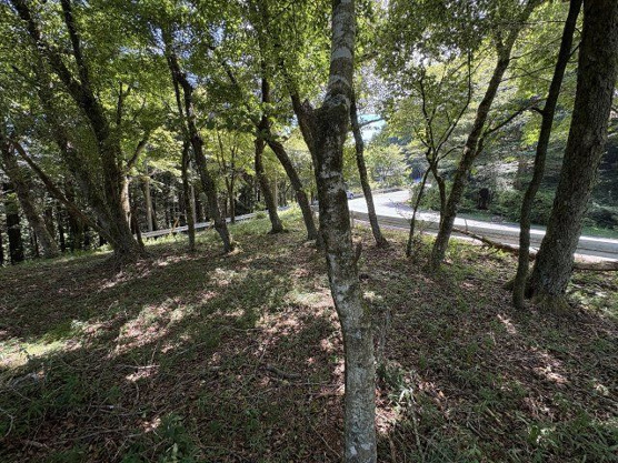 【外観】 | 東急天城高原別荘地　売地