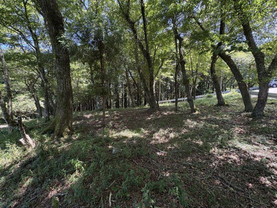 【外観】 | 東急天城高原別荘地　売地