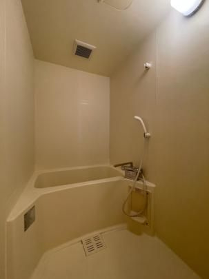 菊池郡菊陽町大字原水の賃貸マンションの浴室