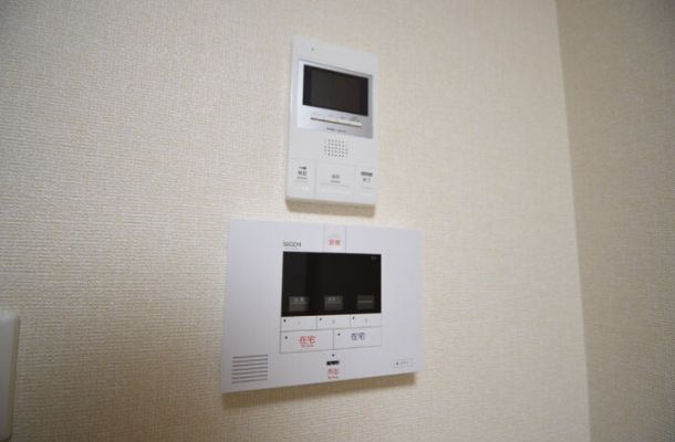 プルメリアのセキュリティ