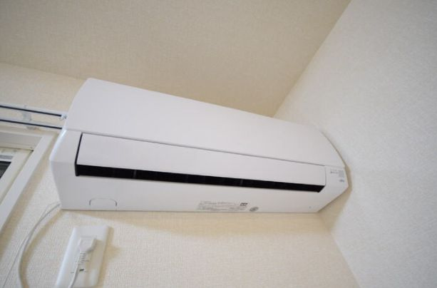 プルメリアの設備