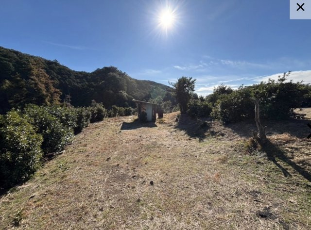 白浜町キャンプ場の外観