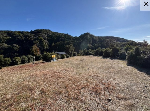 白浜町キャンプ場の外観