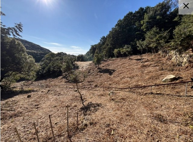 白浜町キャンプ場の外観