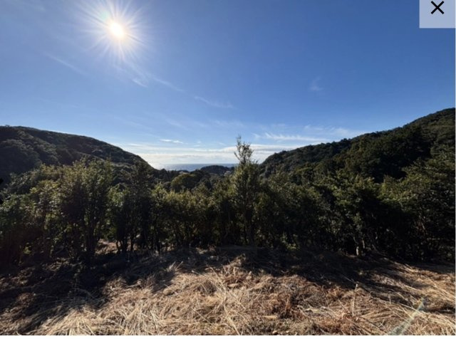 白浜町キャンプ場の外観