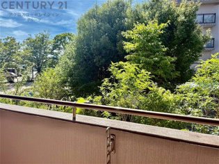 物件からの展望