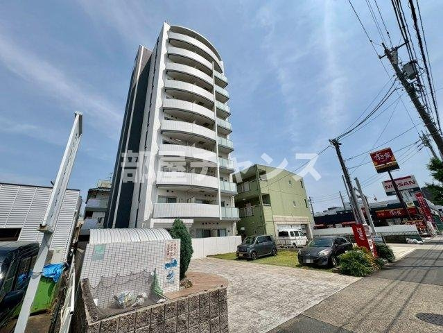 ロイヤルピジョン ライズ