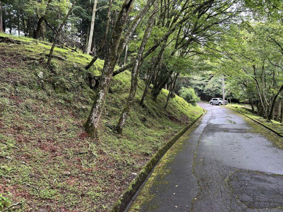 【前面道路含む現地写真】 | 東急天城高原別荘地　売地