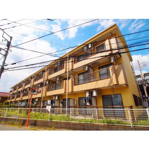 エバーグレイス分倍