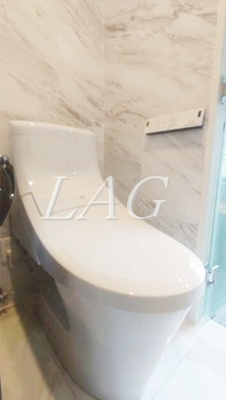 【トイレ】 | アムス早稲田（旧La Blancheur 早稲田） | トイレです。