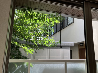 【展望】