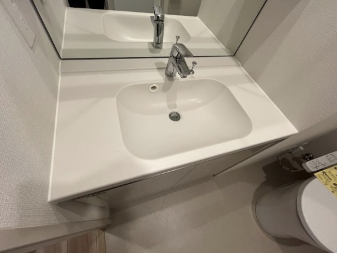 ワンルーフレジデンス中野南台の洗面所