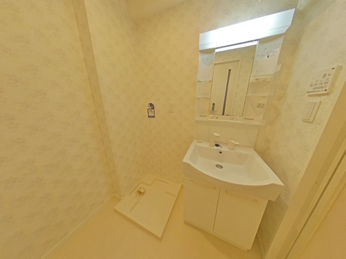 熊本市南区島町４丁目の賃貸マンションの独立洗面台