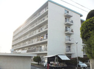 金剛グリーンハイツの画像