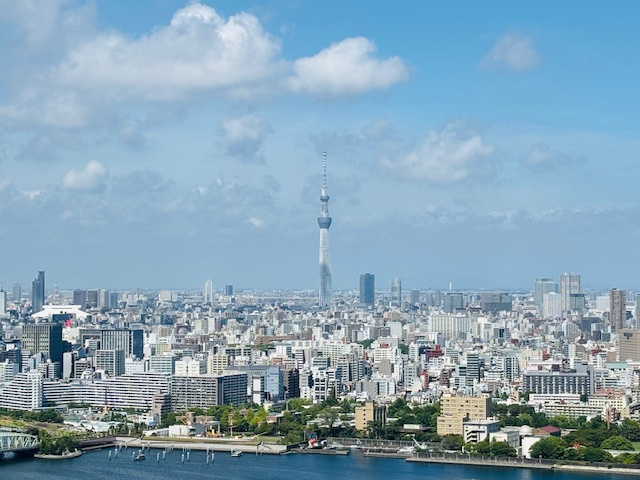 スカイツリーにズームした写真です。
肉眼ではしっかりと見えます。