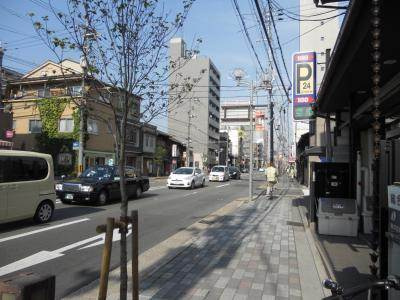 ジュネス堀川の周辺|前面道路