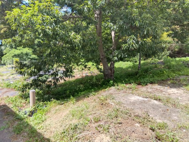 【周辺】の画像