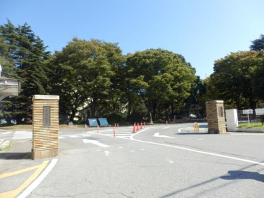 千葉大学まで617m