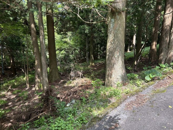 【外観】 | 東急天城高原別荘地　売地