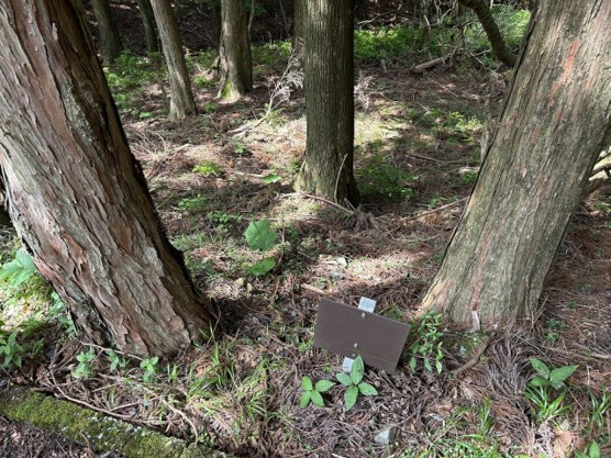 【外観】 | 東急天城高原別荘地　売地