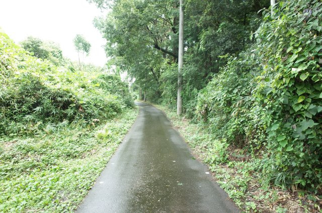 東松山市大谷 土地 1112坪の前面道路含む現地写真|北側約2.1ｍ公道に接道