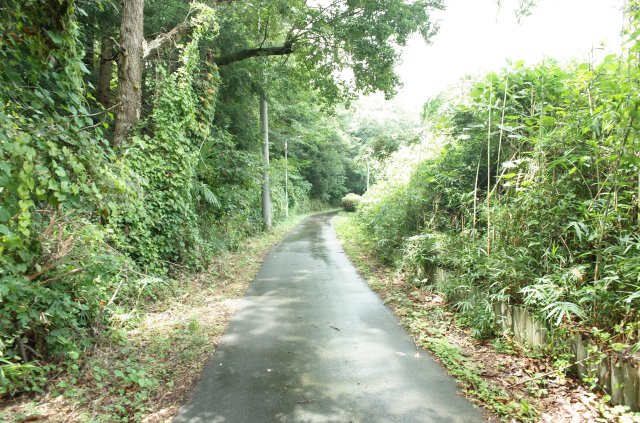 東松山市大谷 土地 1112坪の前面道路含む現地写真|北側約2.1ｍ公道に接道